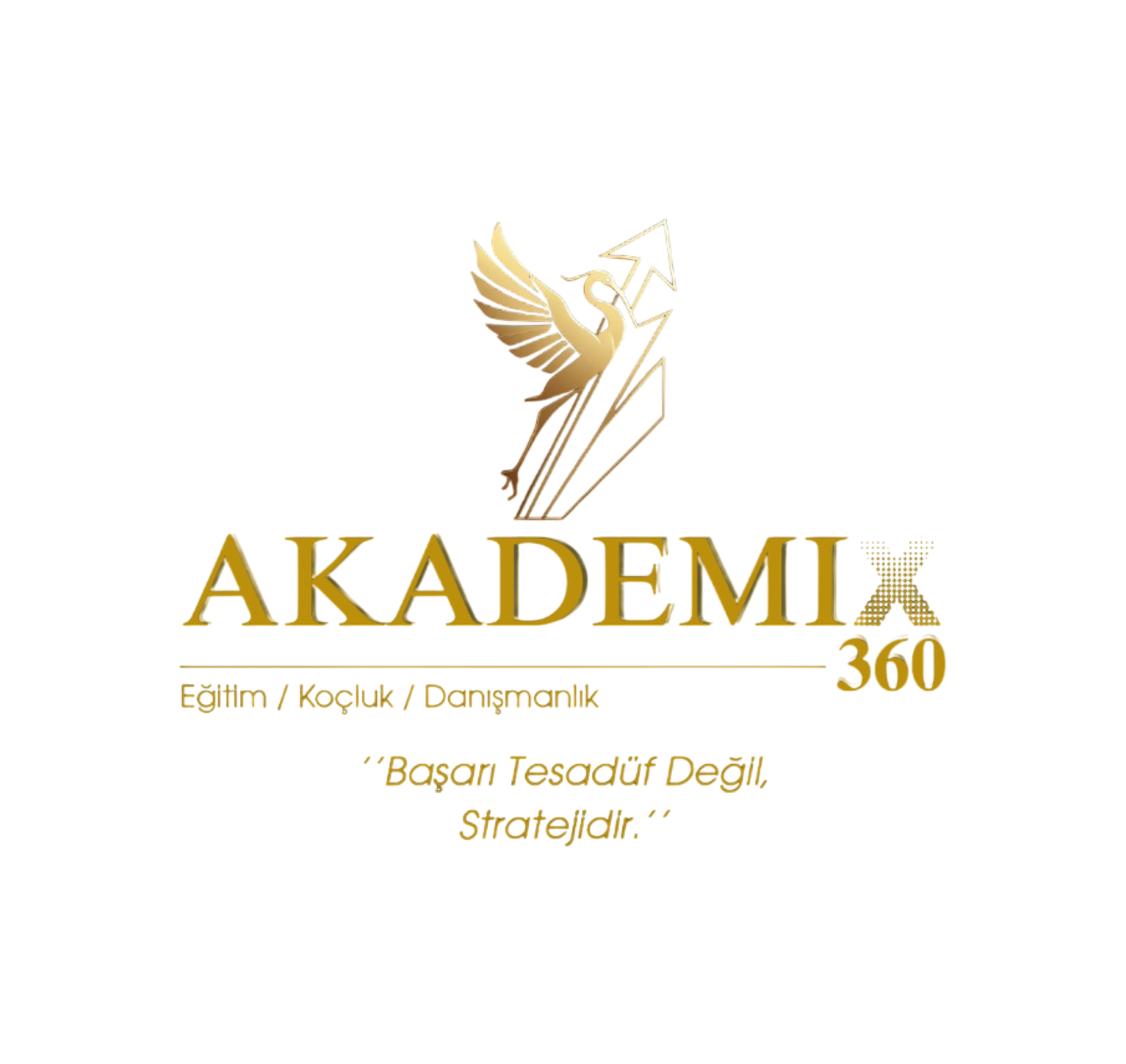 Alkent Akademix Logo